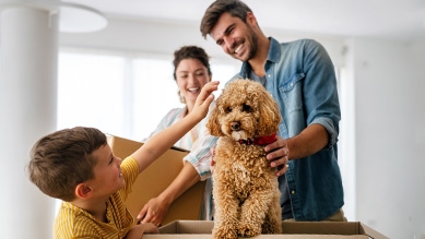Family and moving boxes with dog